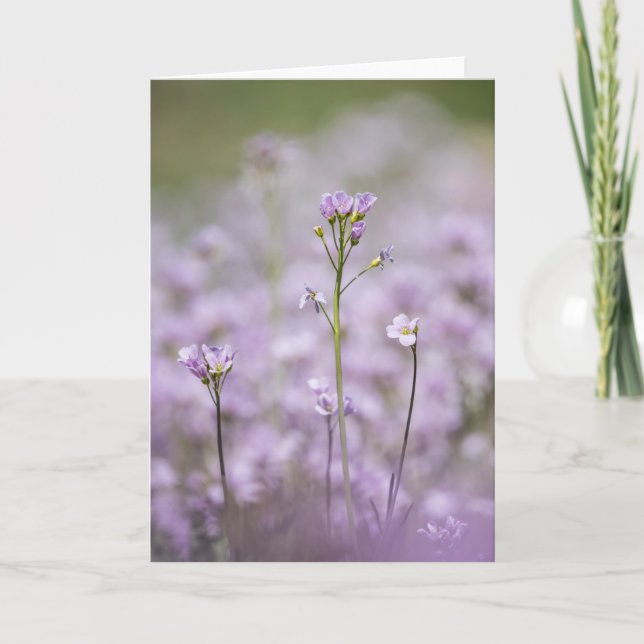 Lady's Smock Nature Photo Card (Front)