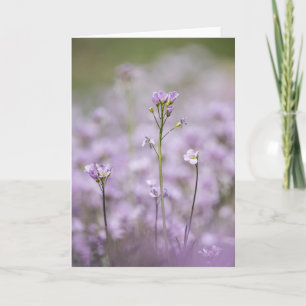 Lady's Smock Nature Photo Card