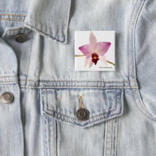 Laelia Ancep 15 Cm Square Badge