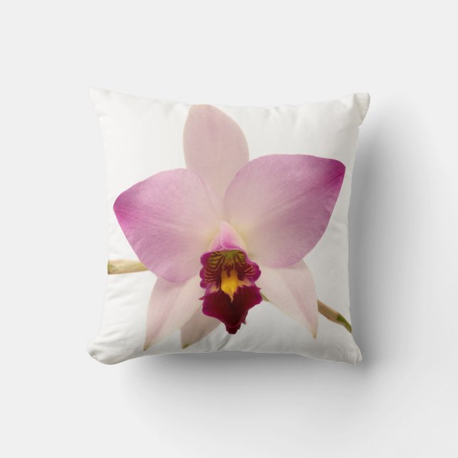 Laelia Ancep Cushion (Front)