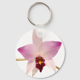 Laelia Ancep Key Ring