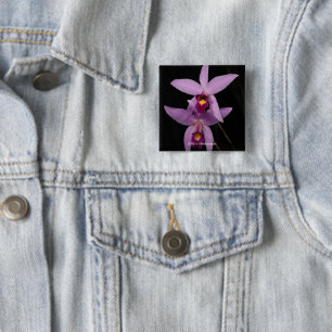 Laelia Anceps 15 Cm Square Badge