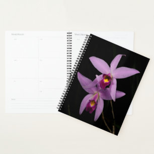 Laelia Anceps Planner