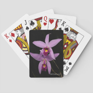 Laelia Anceps Playing Cards