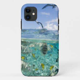 Lagoon safari trip featuring Stingrays iPhone 11 Case