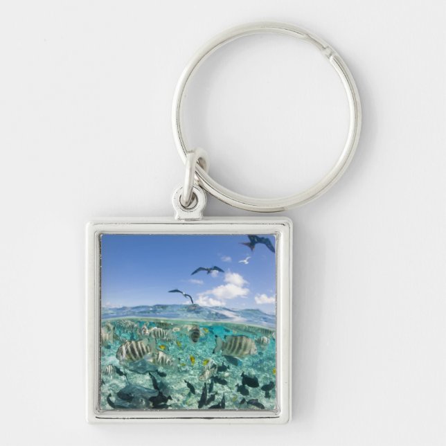 Lagoon safari trip featuring Stingrays Key Ring (Front)