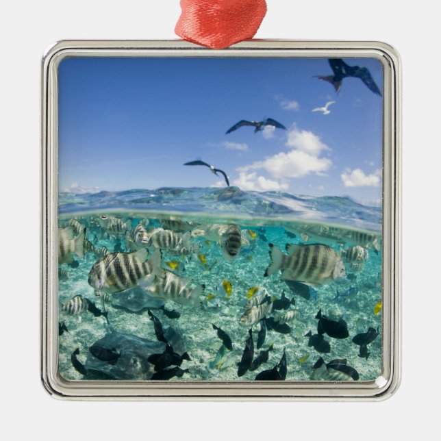 Lagoon safari trip featuring Stingrays Metal Tree Decoration (Front)