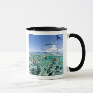 Lagoon safari trip featuring Stingrays Mug