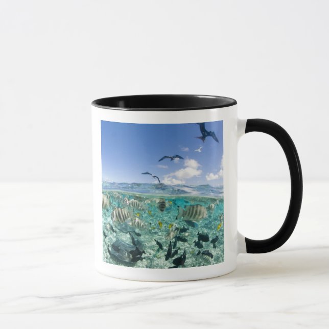 Lagoon safari trip featuring Stingrays Mug (Right)
