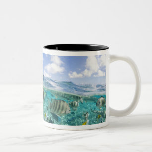 Lagoon safari trip featuring Stingrays Two-Tone Coffee Mug