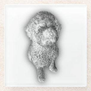 Lagotto Lines – Artisan Coaster for the Curly-Coat