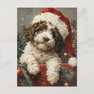 Lagotto Romagnolo Christmas Postcard