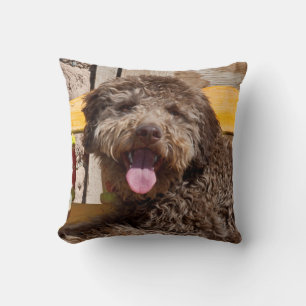 Lagotto Romagnolo Lying On A Wooden Bench Cushion