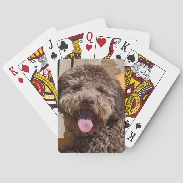 Lagotto Romagnolo Lying On A Wooden Bench Playing Cards (Back)