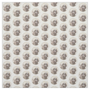 Lagotto Romagnolo Painting - Cute Original Dog Art Fabric