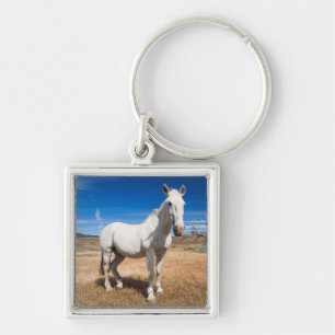 Laguna Azul, landscape with horses Key Ring