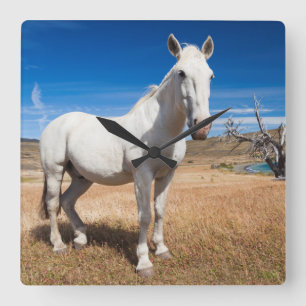 Laguna Azul, landscape with horses Square Wall Clock