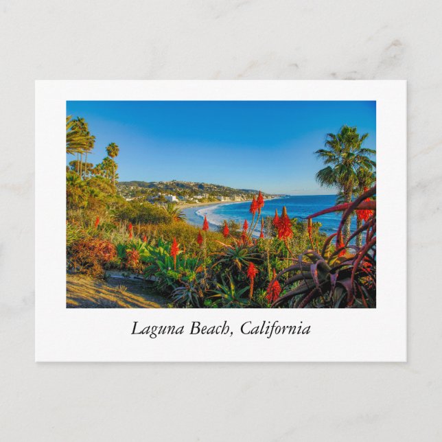 Laguna Beach California Postcard (Front)