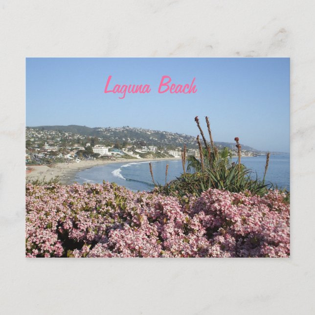 Laguna Beach flowers postcard (Front)