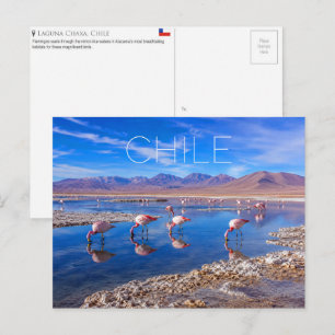 Laguna Chaxa, Atacama, Chile Travel Postcard