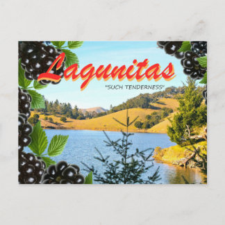Lagunitas, "Such Tenderness" (Hass, take 2) Postcard