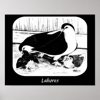 Lahore Pigeons 1980 Poster