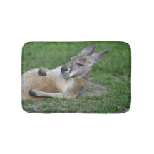 Laid-back Kangaroo