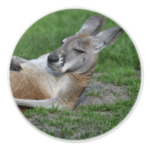 Laid-back Kangaroo Ceramic Knob