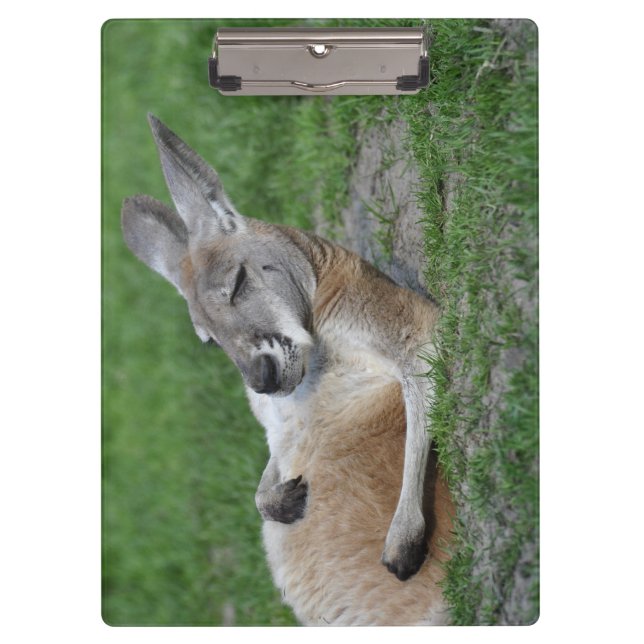 Laid-back Kangaroo Clipboard (Front)