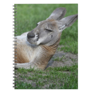 Laid-back Kangaroo Notebook