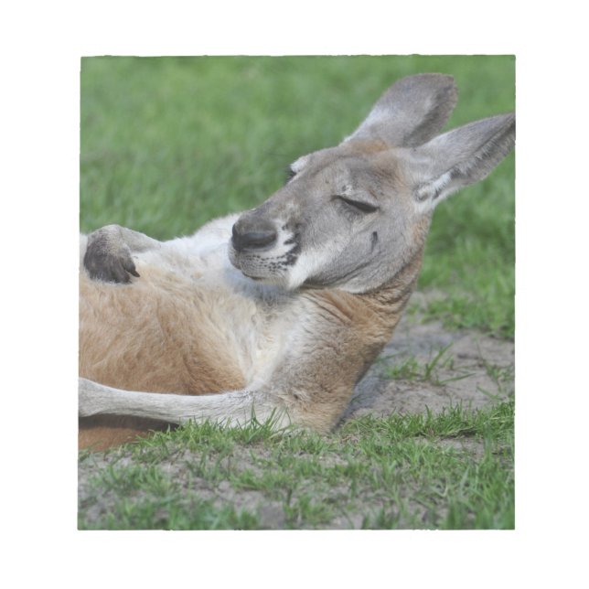 Laid-back Kangaroo Notepad (Front)