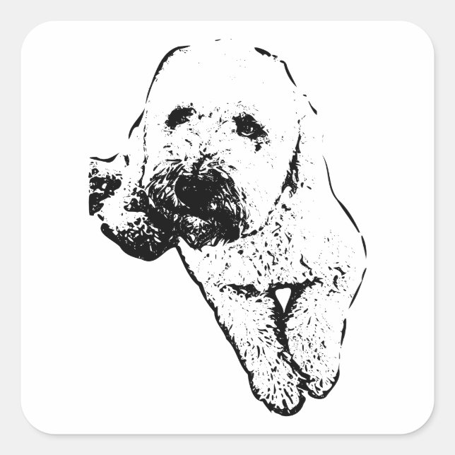 Laid‑Back Lagotto Pup Ink Art Sticker (Front)