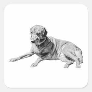 Laid-Out Dog, Chill Vibe Square Sticker