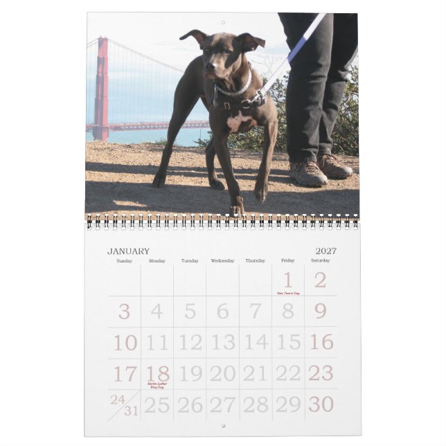 Laika-a-Month 2008 Calendar (Jan 2027)