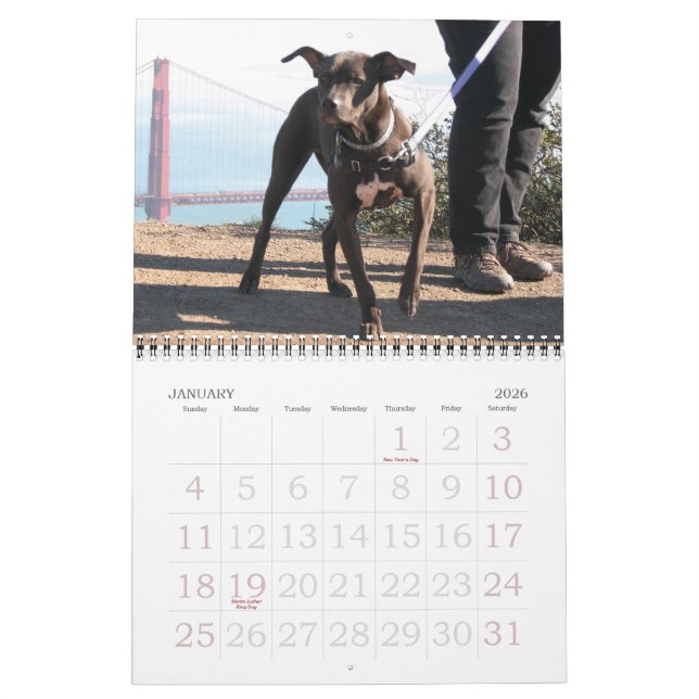 Laika-a-Month 2008 Calendar (Jan 2026)