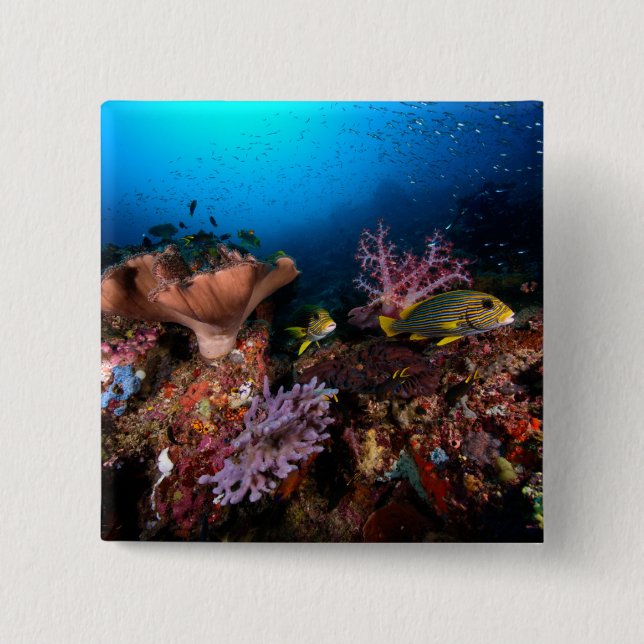 Laja Ampat Underwater 15 Cm Square Badge (Front)