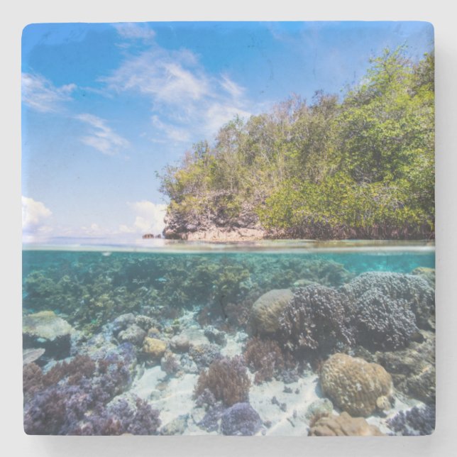 Laja Ampat Underwater 2 Stone Coaster (Front)