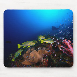 Laja Ampat Underwater 3 Mouse Pad