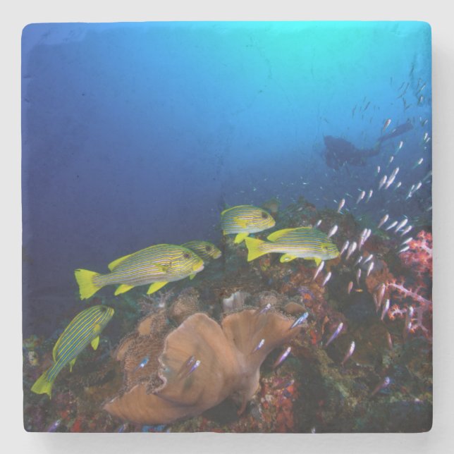 Laja Ampat Underwater 3 Stone Coaster (Front)