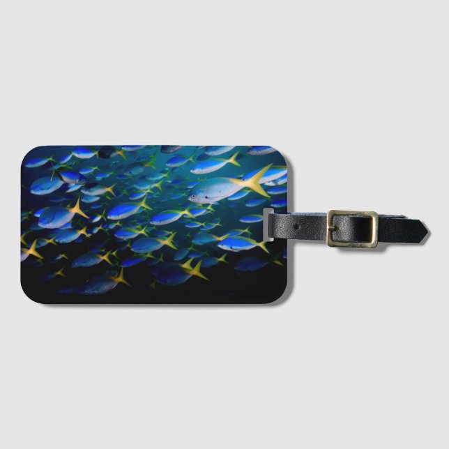 Laja Ampat Underwater 5 Luggage Tag (Front Horizontal)