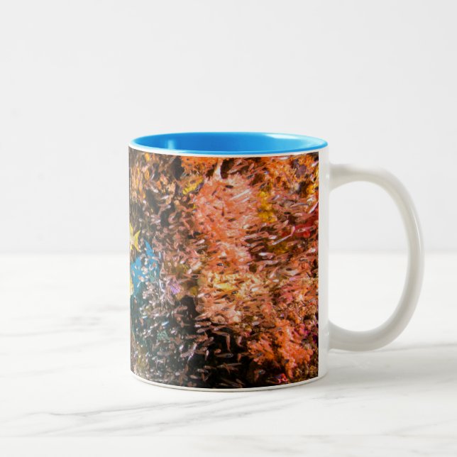 Laja Ampat Underwater 6 Two-Tone Coffee Mug (Right)
