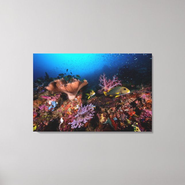 Laja Ampat Underwater Canvas Print (Front)