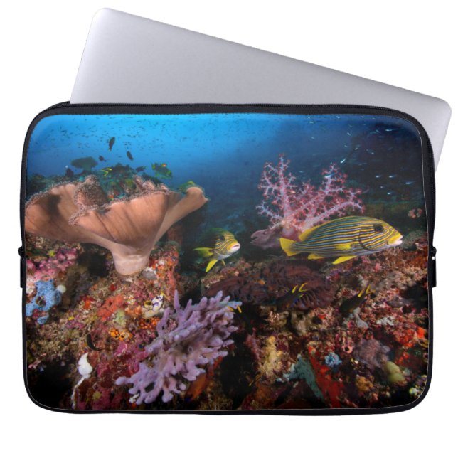 Laja Ampat Underwater Laptop Sleeve (Front)