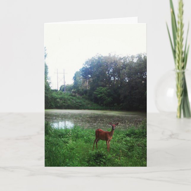 "Lake Alimagnet Deer" Birthday Card (Front)
