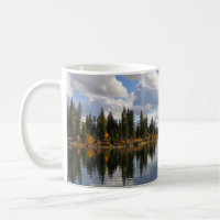 Lake and forest scene