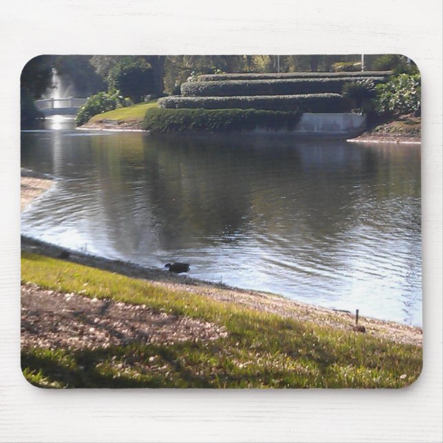 Lake and Stone Mouse Pad (Front)