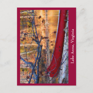 Lake Anna Virginia Postcard