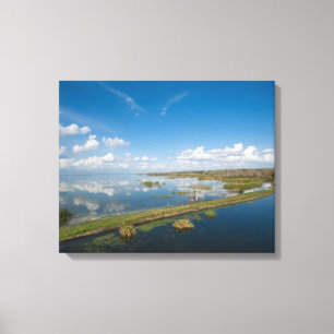 Lake Apopka Florida Canvas Print
