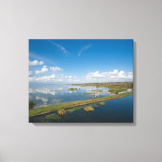 Lake Apopka Florida Canvas Print
