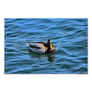 Lake Arrowhead Photo Print